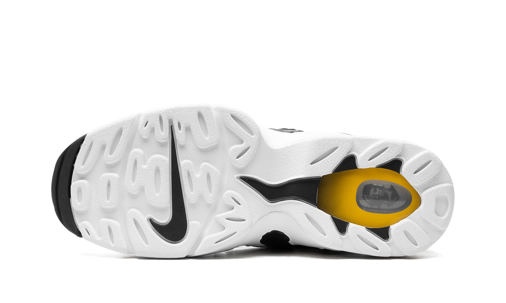 Air DT Max '96 "Black Varsity Maize" HM8249 001