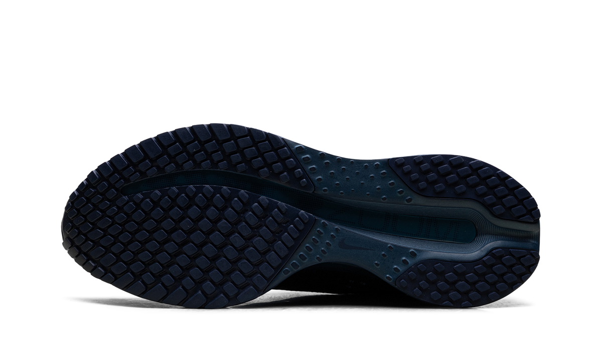 Air Zoom Pegasus Premium WMNS "Swarovski - Blue Force" IM7384 499