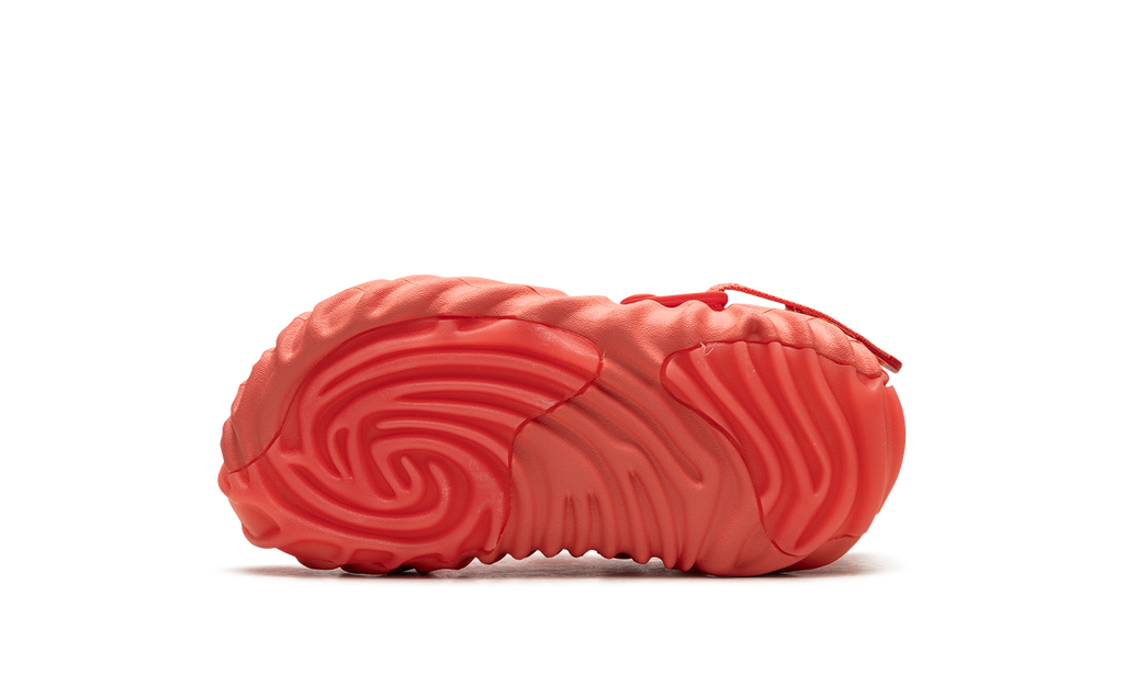 Pollex Clog GS "Salehe Bembury - Begonia" 208600 6WN